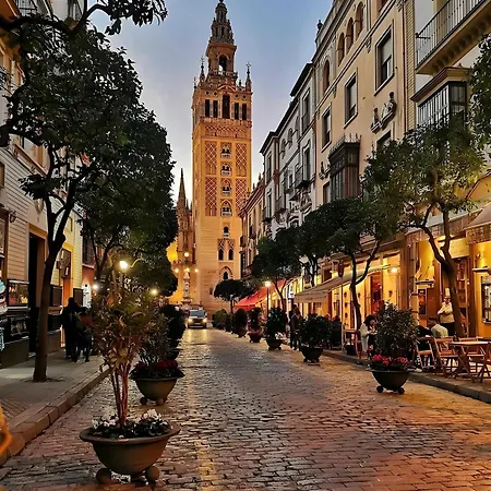 Center Setas 1 * Seville